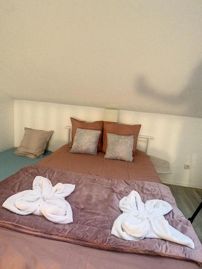 Disneyland En Famille, Studio Tout Confort Avec Jardin Bailly-Romainvilliers Exterior foto